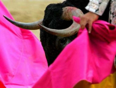 DETALLES
